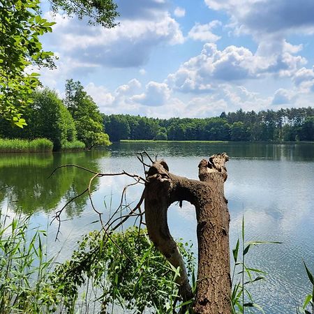 Biesenthal Finnhuette Zwischen Wald Und See מראה חיצוני תמונה
